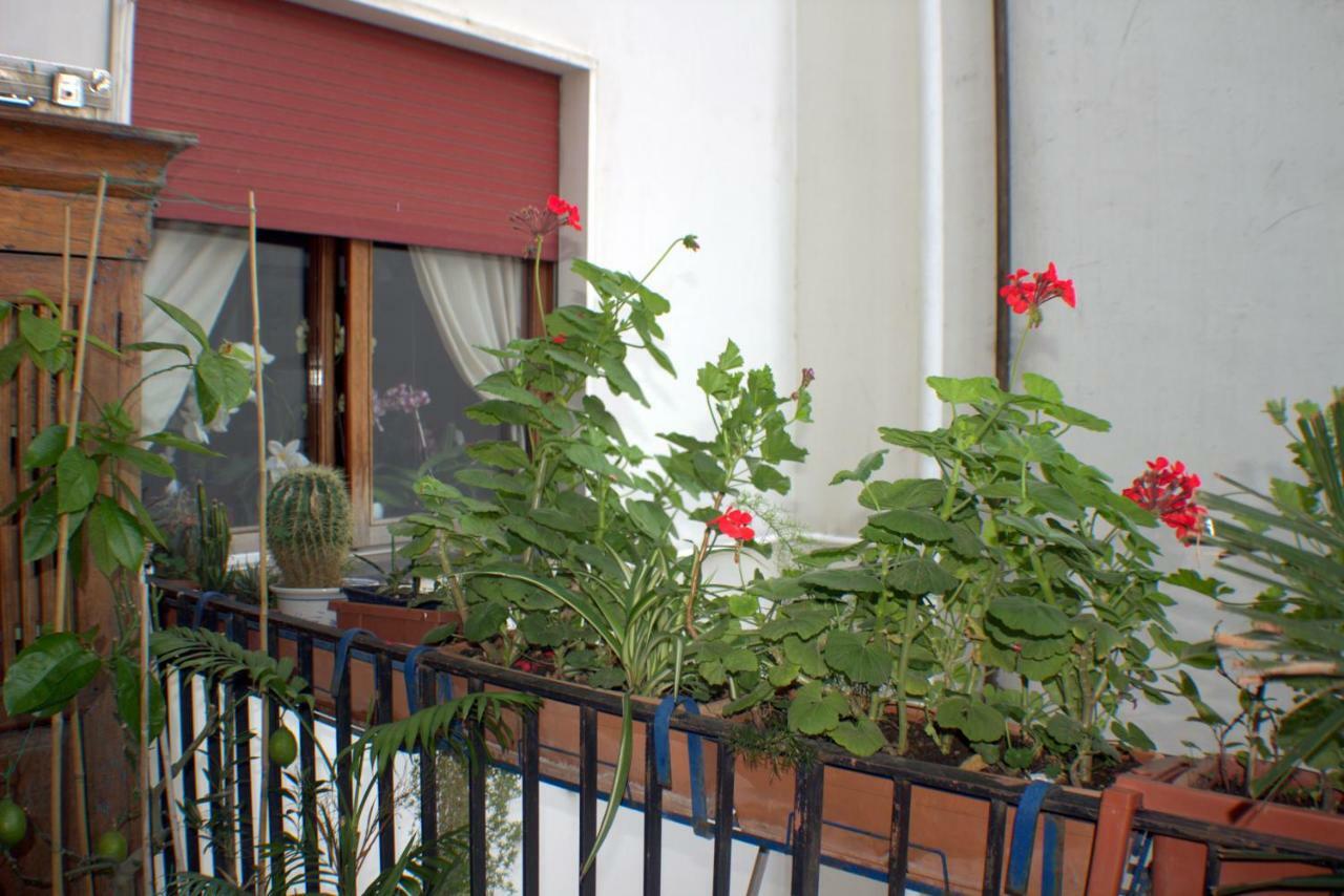 B&B Lili Salerno Exterior foto